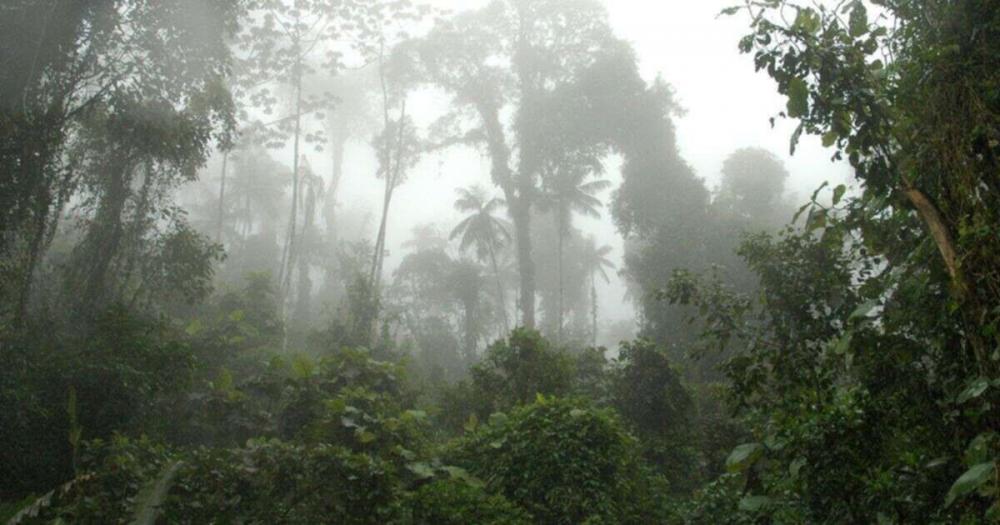 Foto meramente ilustrativa