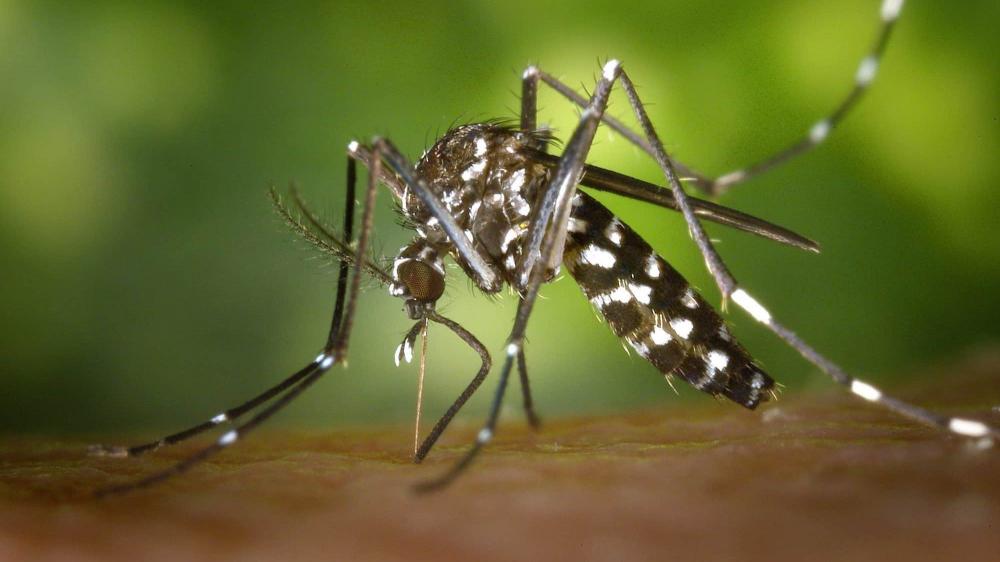 Marília decreta estado de emergência contra dengue após duas mortes pela doença
