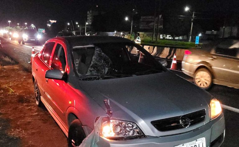 Homem morre atropelado na rodovia SP-294