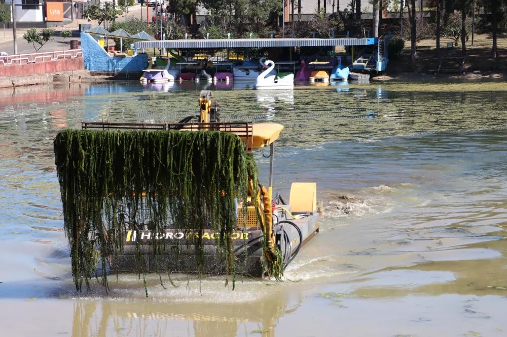 Garça inicia remoção das plantas que roubavam beleza do Lago
