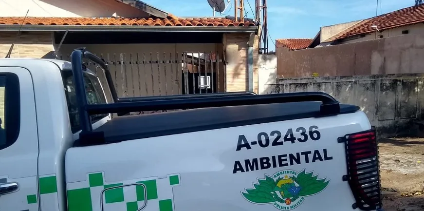 Garcense leva multa de R$ 6 mil por maus tratos a animais