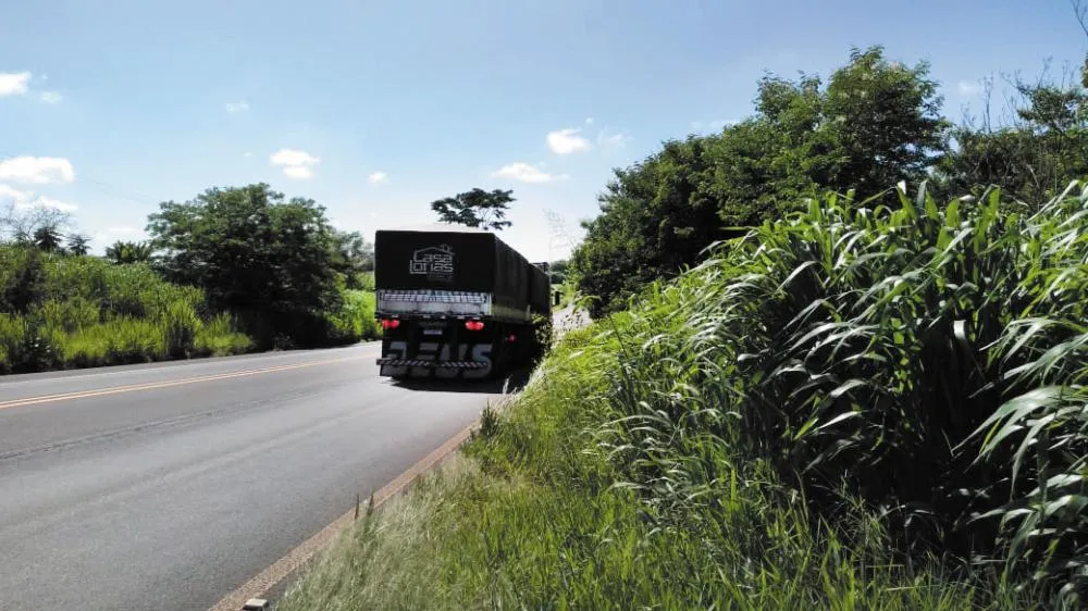 Crime na região: Mulher é atacada e violentada em matagal