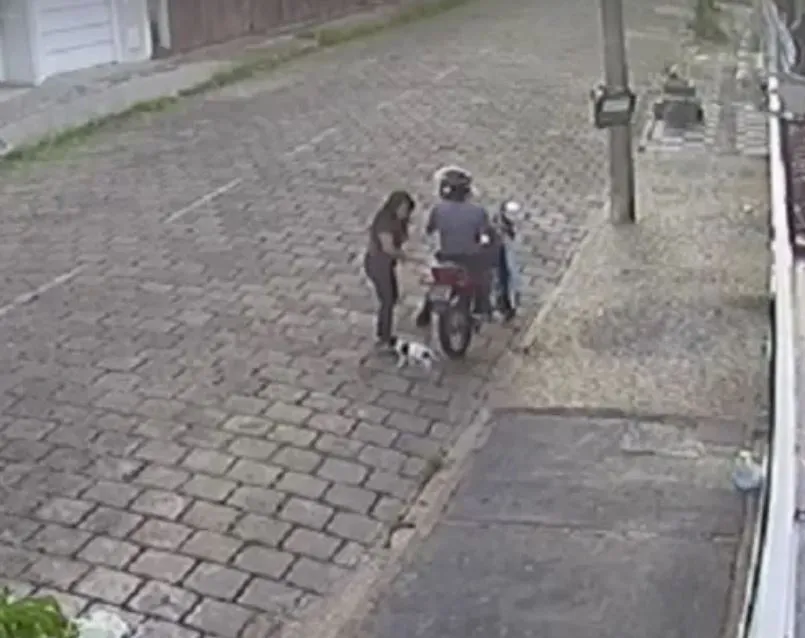 Justiça condena mulher que abandonou filhote de cachorro um mês após adotá-lo em Garça