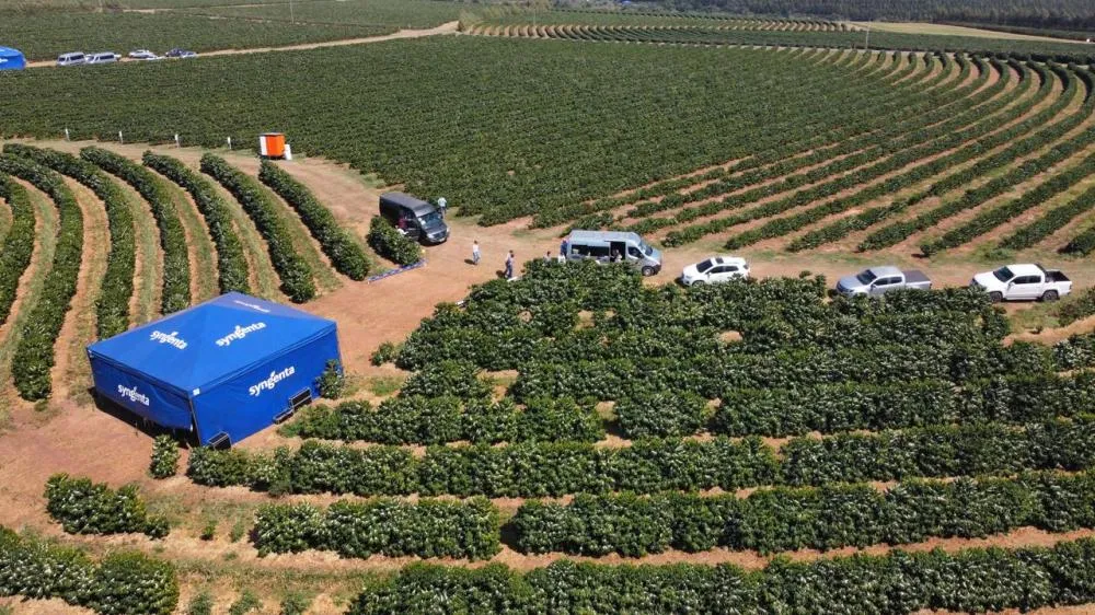 Fazenda do empresário Flávio Peres sediou Dia de Campo do Grupo Técnico de Especialistas em Café (GTEC)