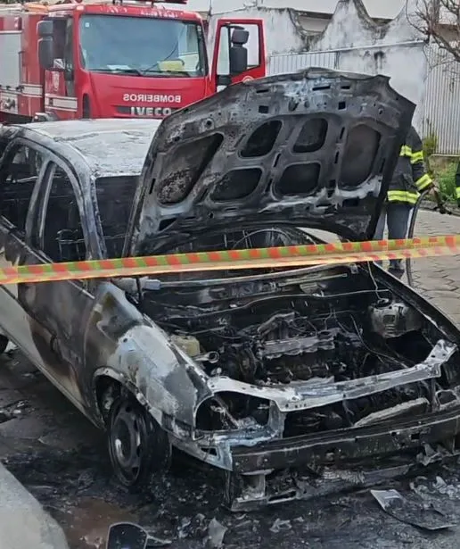 Foto: Garça em Foco