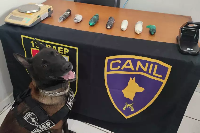 Foto: Baep / Divulgação