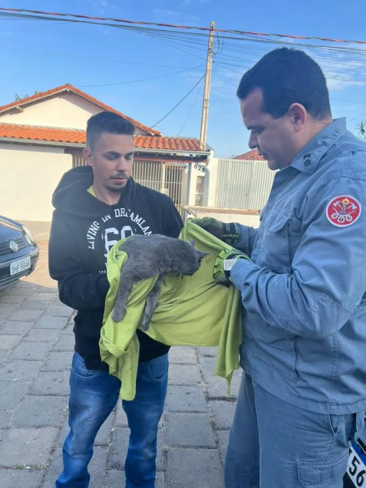 Foto: Garça em Foco