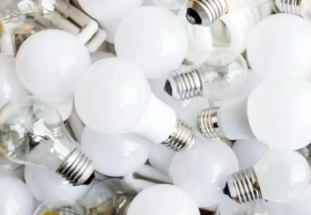 Foto: Freepik/reprodução