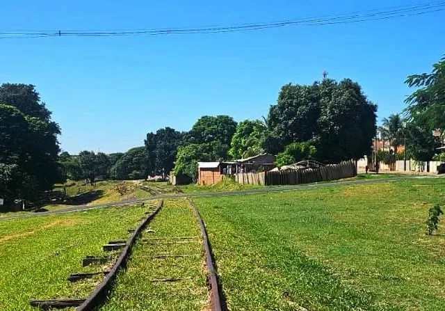 Foto: Garça em Foco