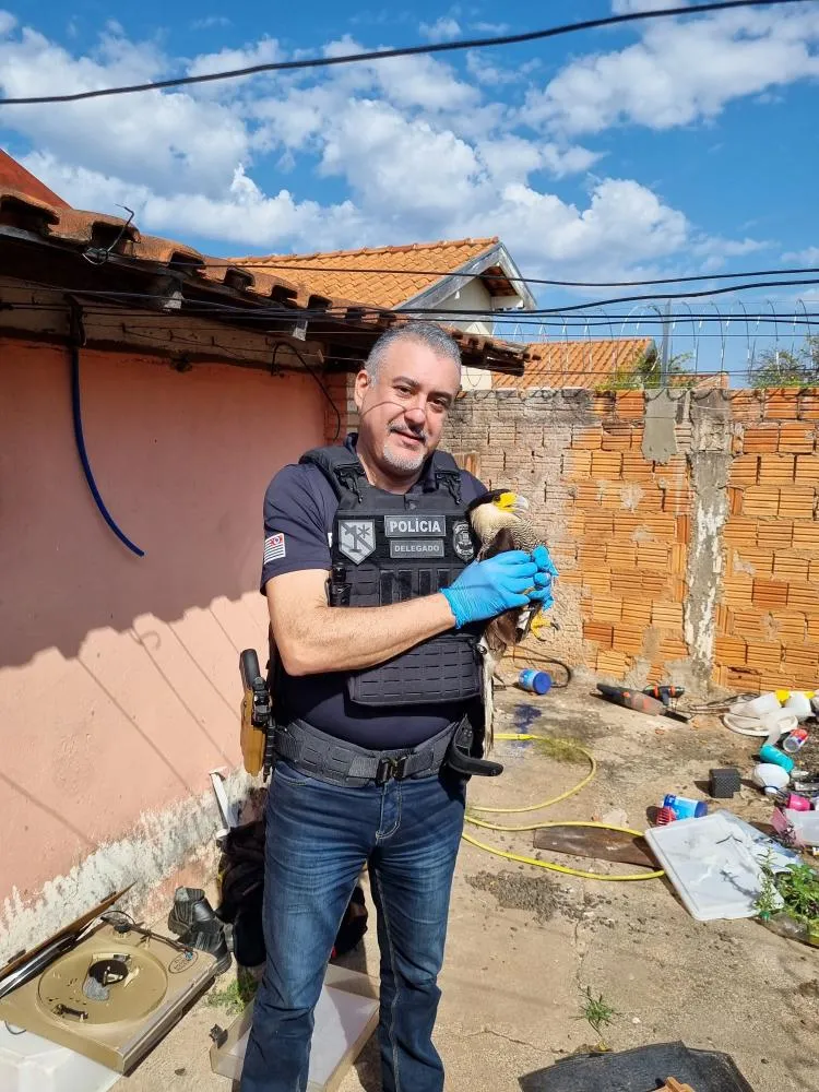 Fotos: Adriano Marreiro / Enviadas ao Garça em Foco