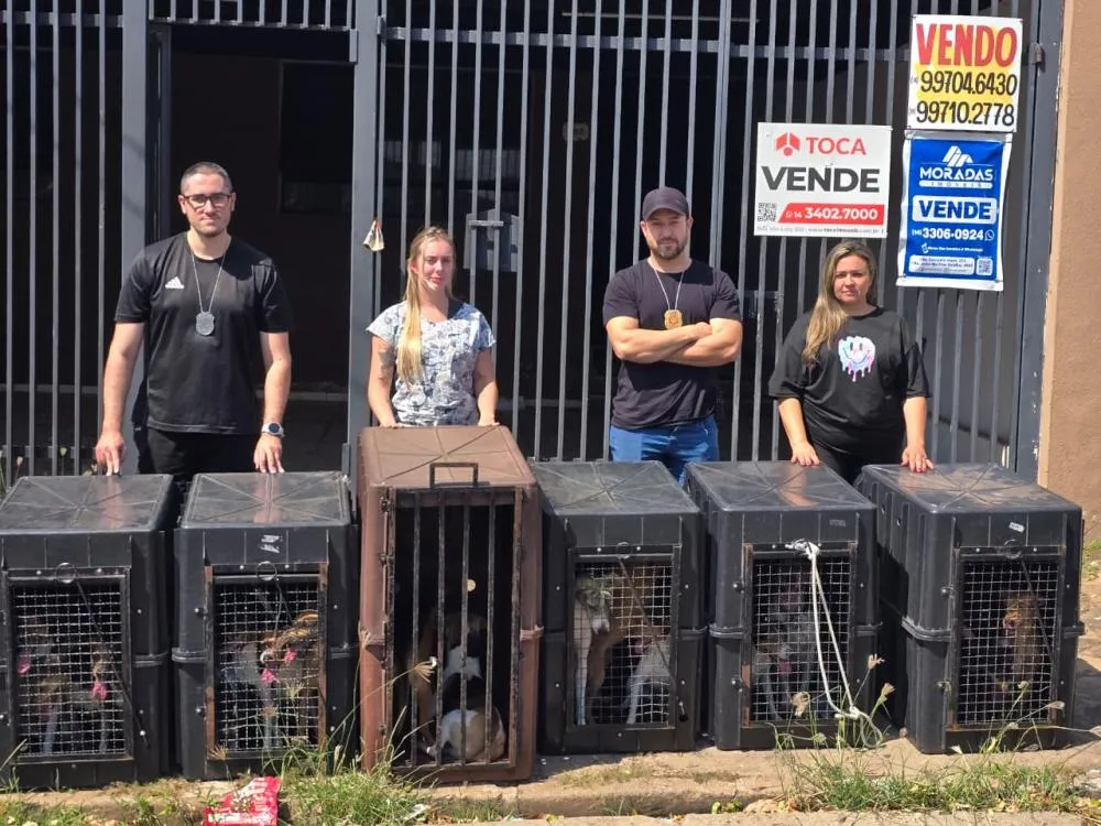 Polícia resgata 18 cães em situação crítica de abandono e maus-tratos na região