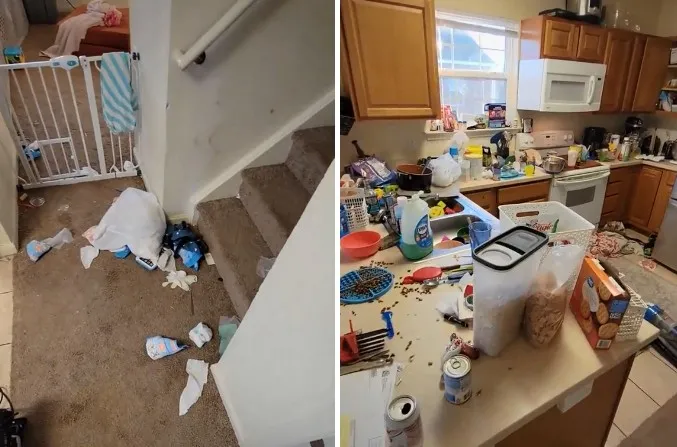 Casa de Brianna James - reprodução TikTok