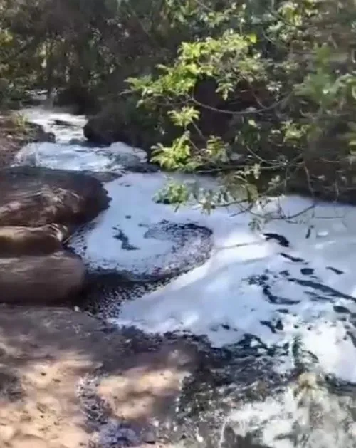 Despejo irregular de vinhaça no Córrego Bispo, afluente do Aguapeí | Foto: Reprodução/Redes sociais