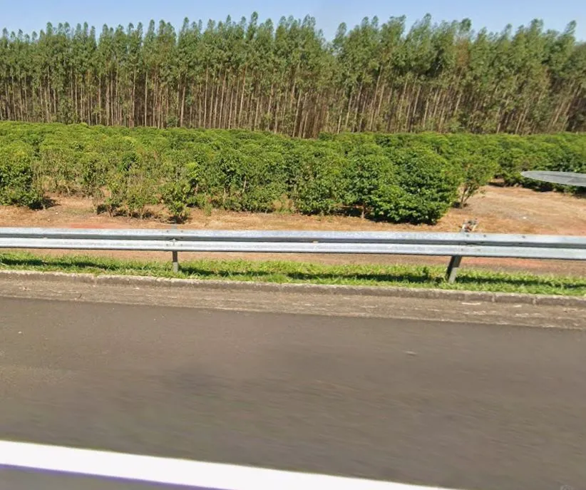 Acidente na SP-294: motorista sofre ferimentos graves próximo a Gália