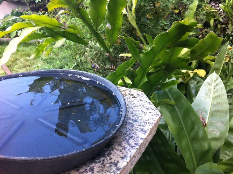 Foto meramente ilustrativa