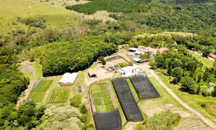 Destaque: Garça marca presença na COP30