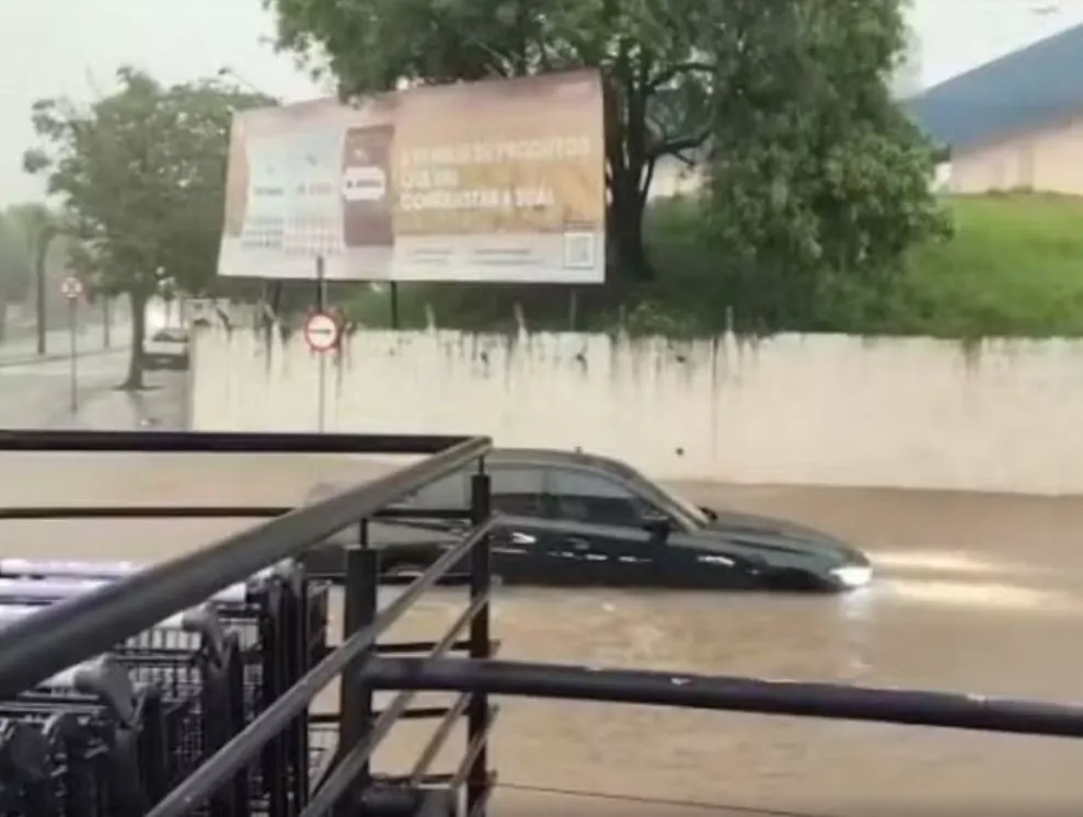 Foto: Luiz Eduardo Ramalho Sganzerla