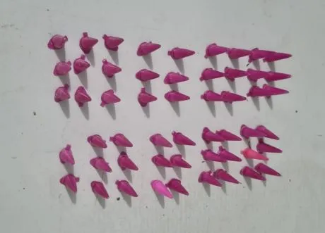 Foto: PM/Divulgação