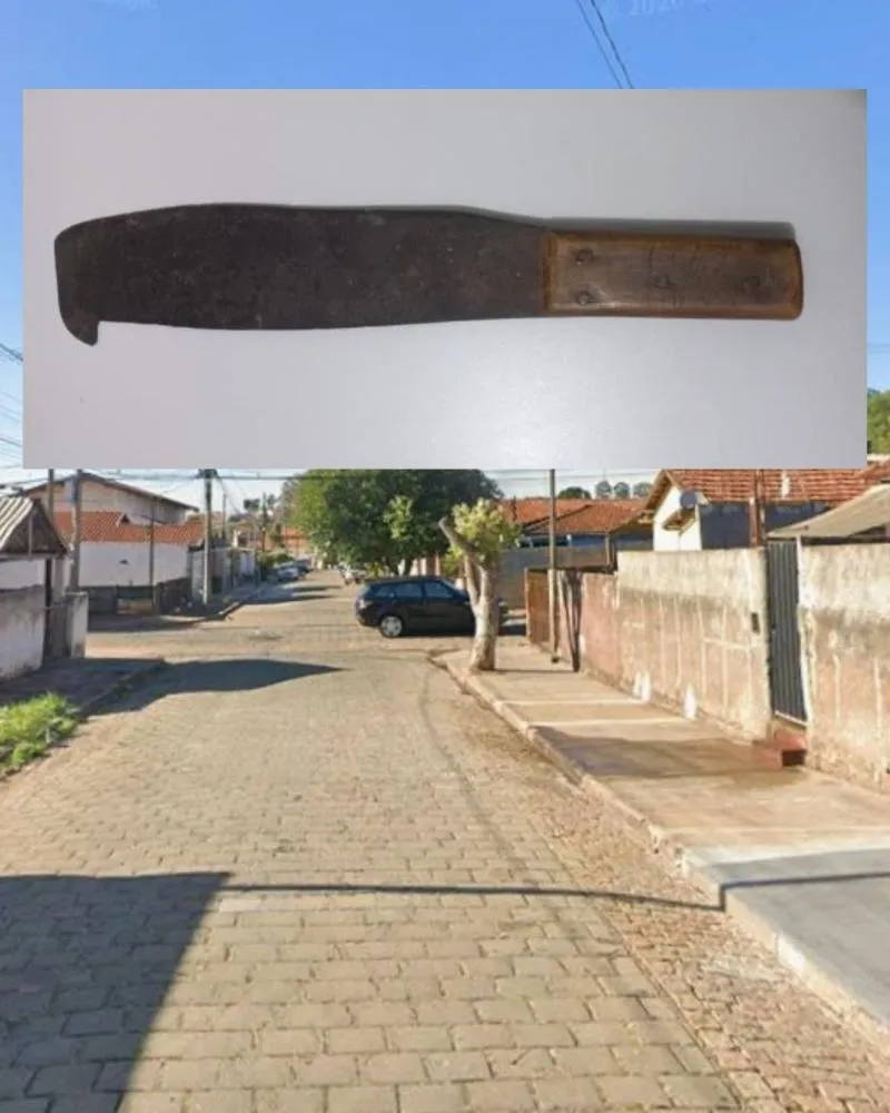 Foto: Garça em Foco