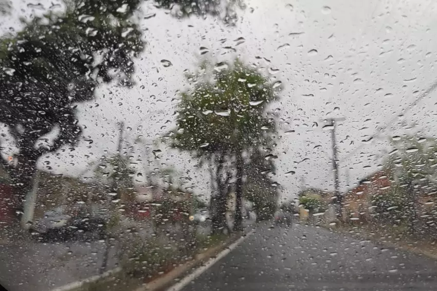 Foto: Garça em Foco