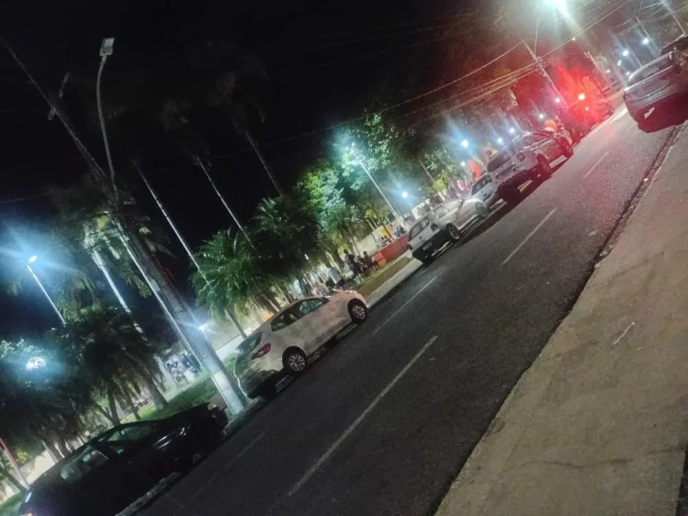 Foto: Garça em Foco