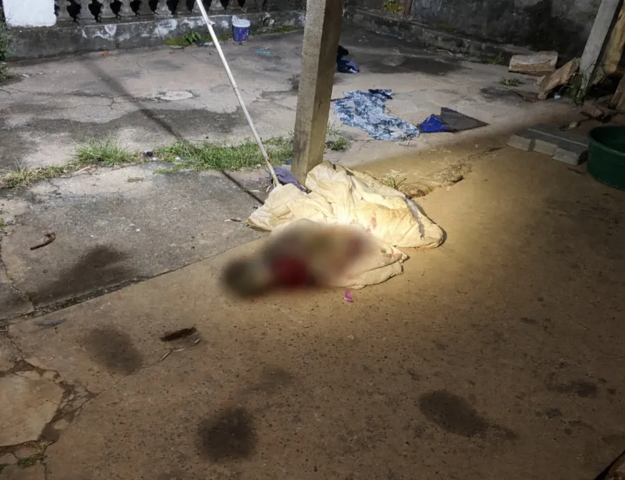 Cão é encontrado morto com sinais de extrema violência e caso gera revolta em Garça
