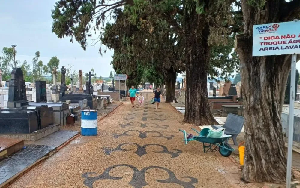 Foto: Garça em Foco