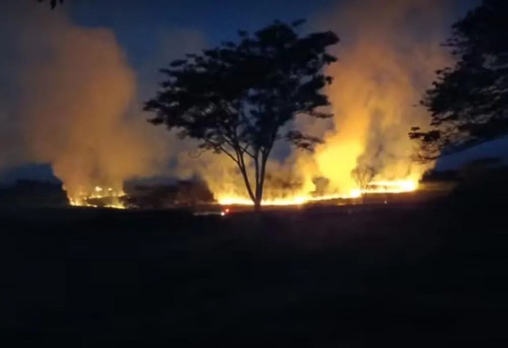 Incêndio em vegetação mobiliza bombeiros e ameaça áreas residenciais em Vera Cruz