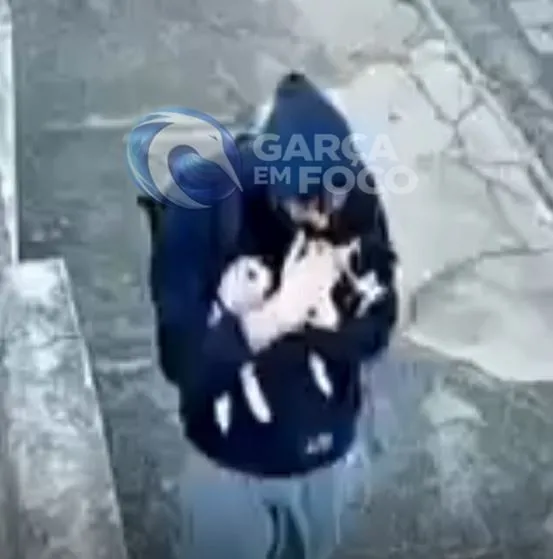 Imagens de câmera mostram suspeito carregando gata dias antes de caso de crueldade em Garça