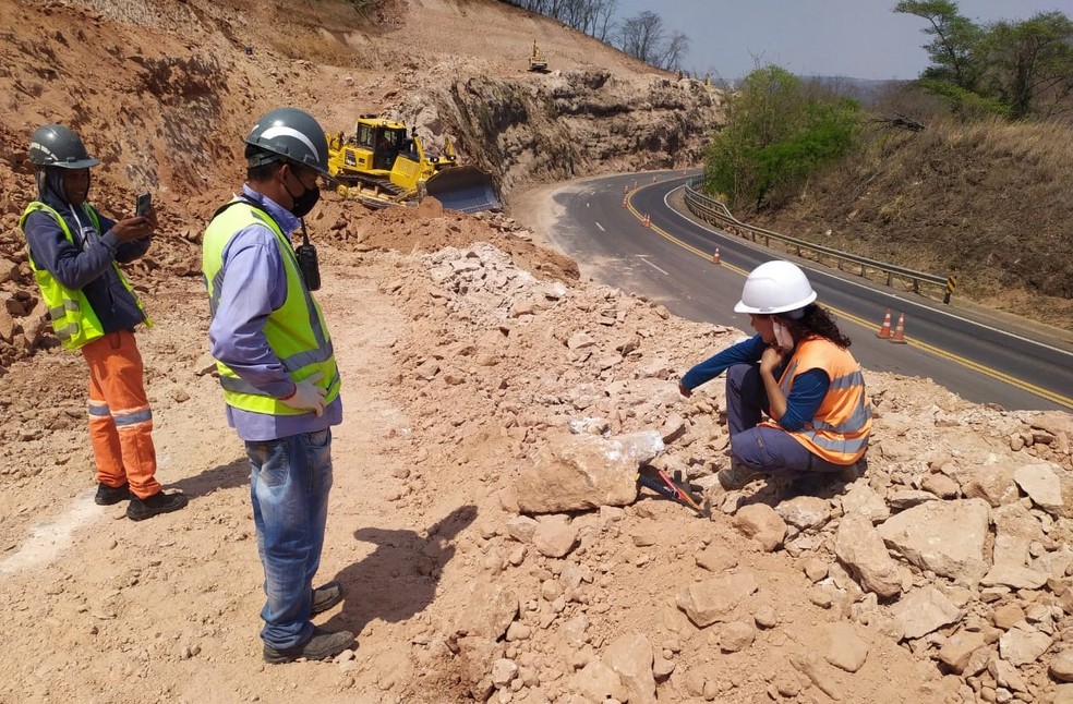 Fêmur de Titanossauro é achado durante obras em rodovia próxima a Garça